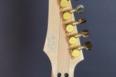 Ibanez Steve Vai PIA-3761 Stallion White-12.jpg